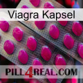 Viagra Capsule 10
